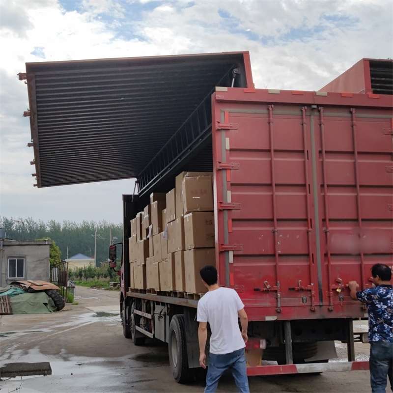 西和县扎囊县：物流专线的高效货运之旅
